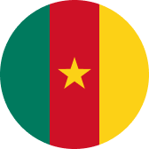 Flag of Cameroon (CMR)