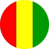 Flag of Guinea (GIN)
